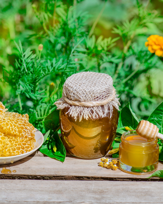 Bio-Honig aus aller Welt
