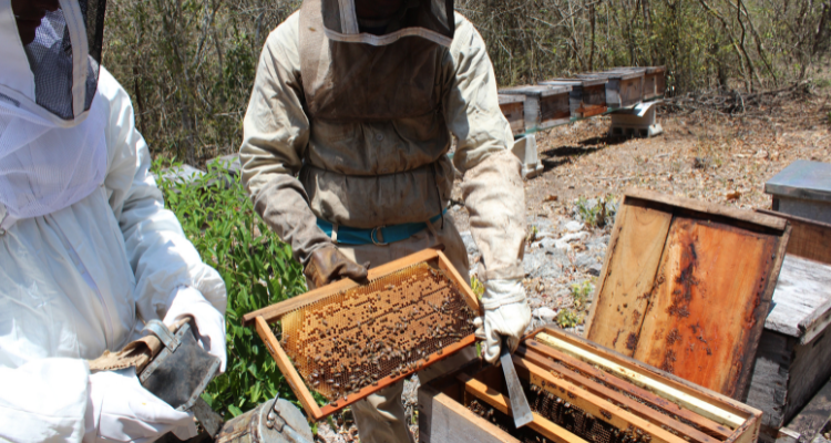 About us Walter Lang GmbH