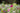 Farbenfrohe Wildblumenwiese mit pinken, lila und weißen Blüten